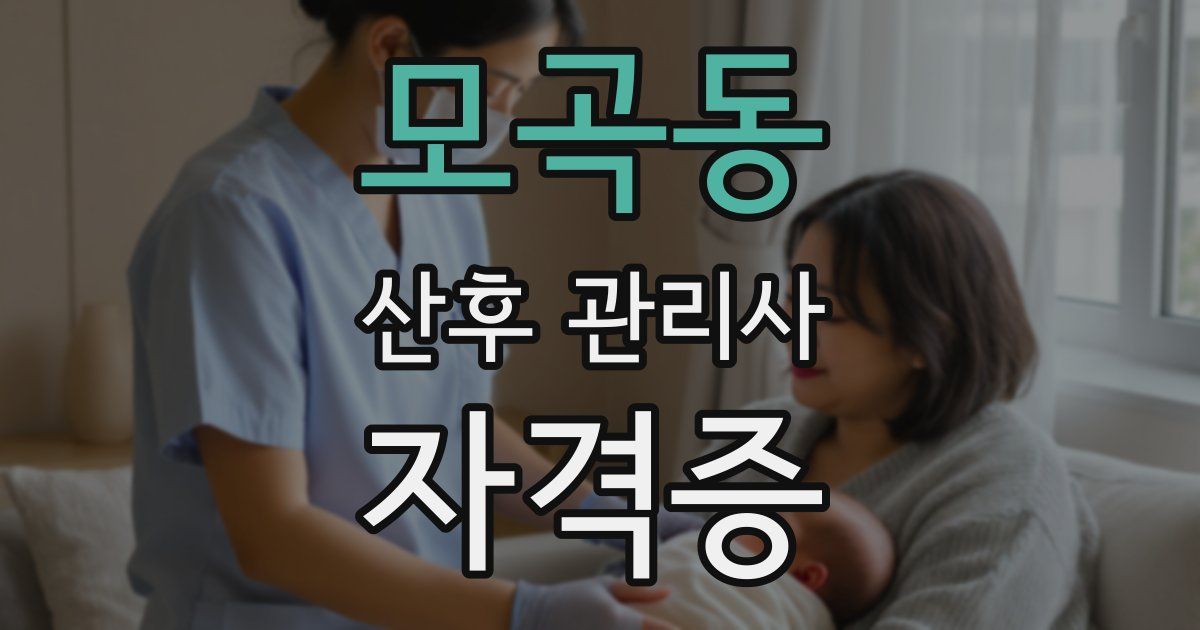 모곡동 산후 관리사 자격증