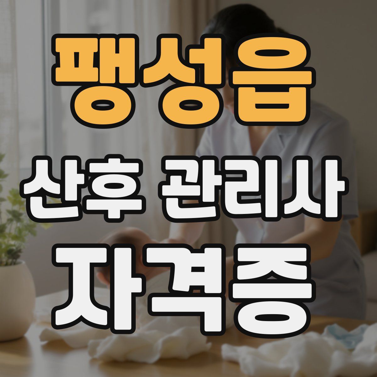 팽성읍 산후 관리사 자격증