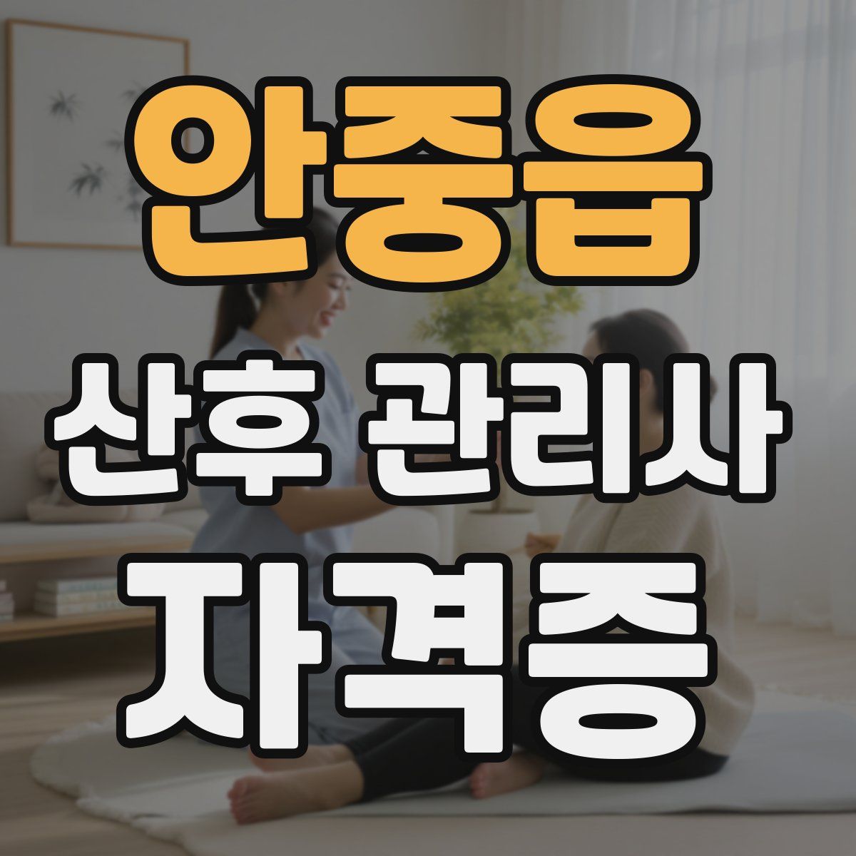 안중읍 산후 관리사 자격증
