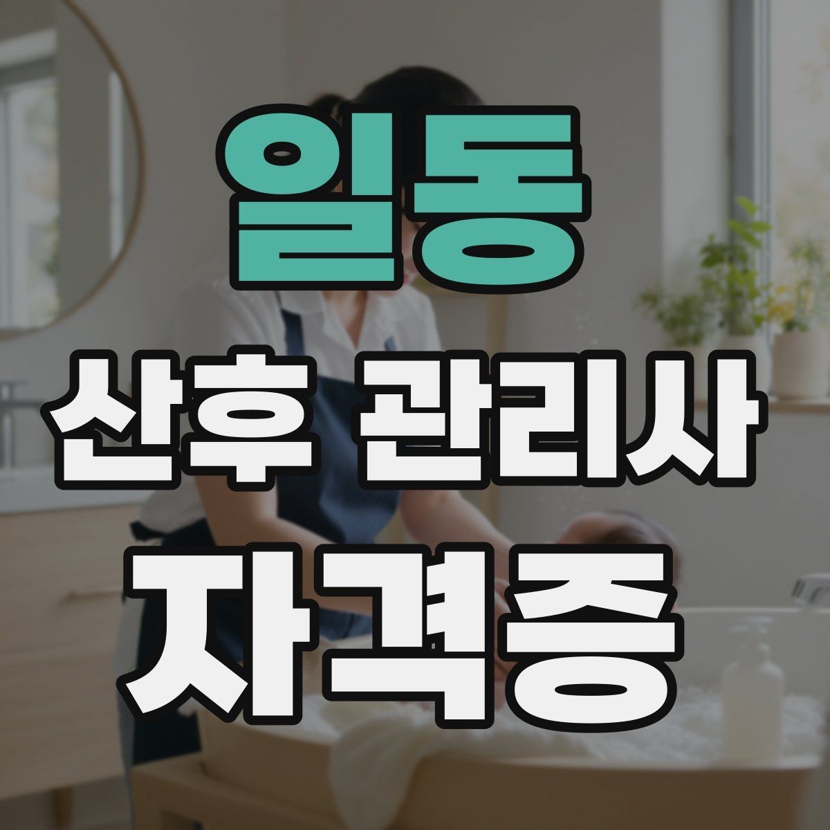 일동 산후 관리사 자격증 취득 후 활동 가능한 분야 정리