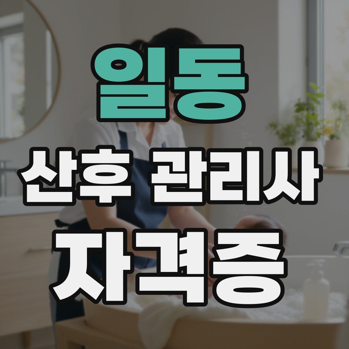 일동 산후 관리사 자격증
