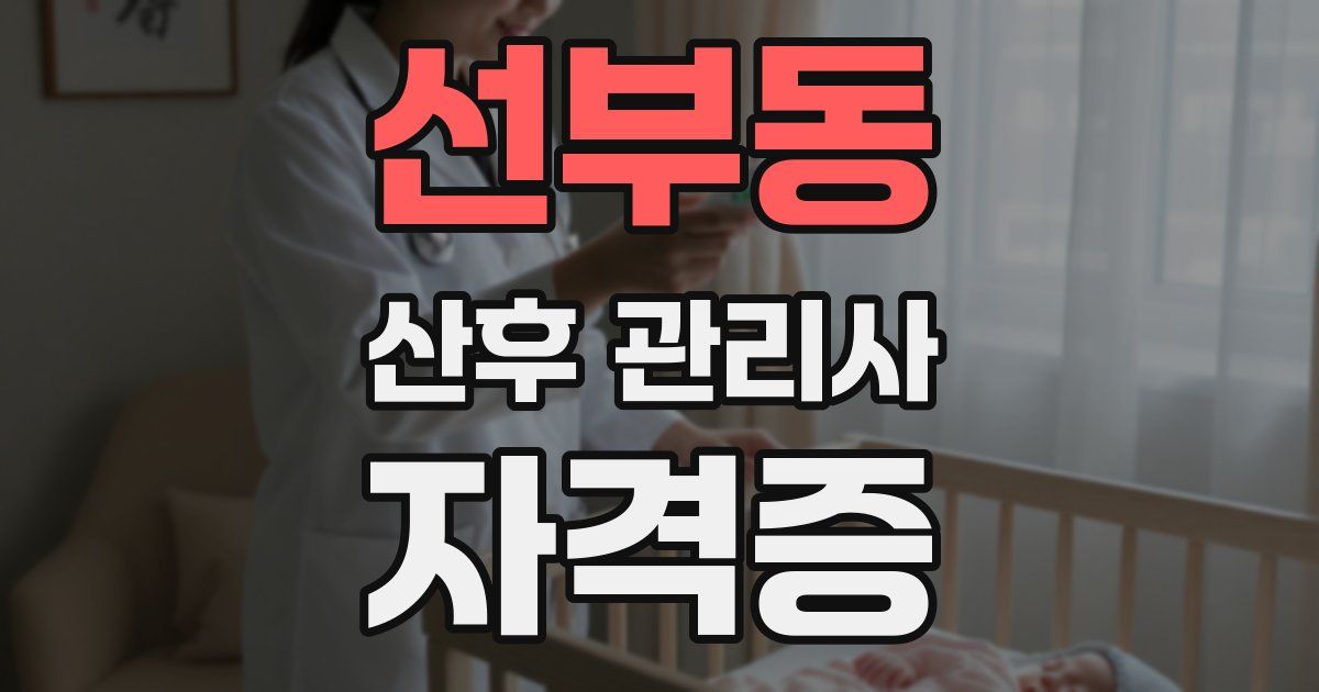 선부동 산후 관리사 자격증
