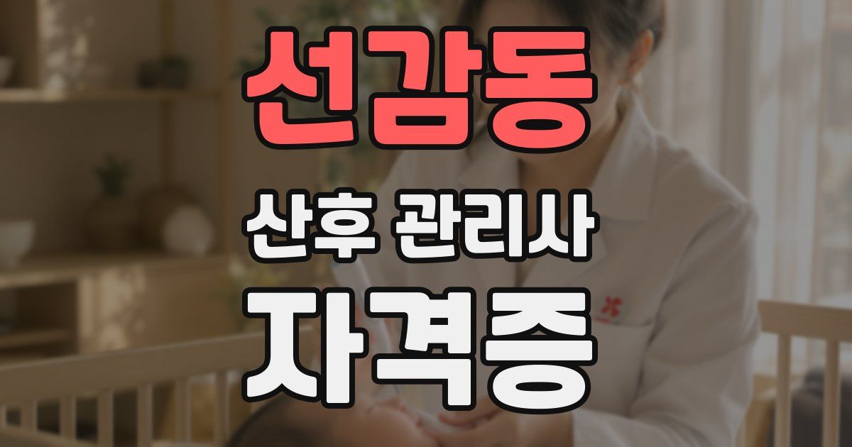 선감동 산후 관리사 자격증