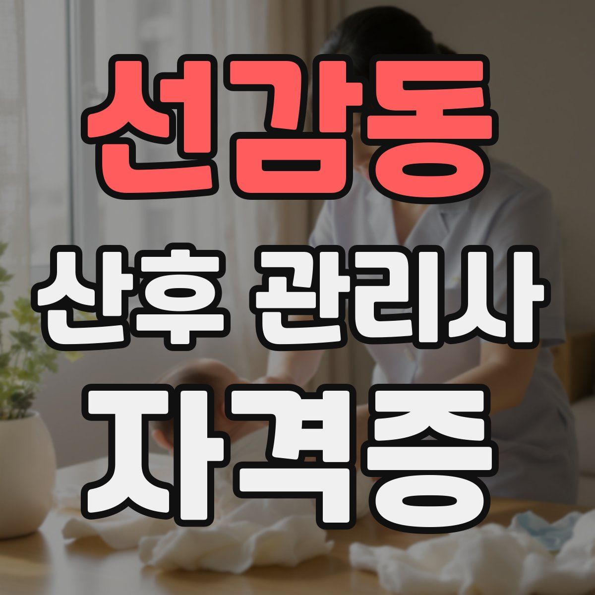 선감동 산후 관리사 자격증