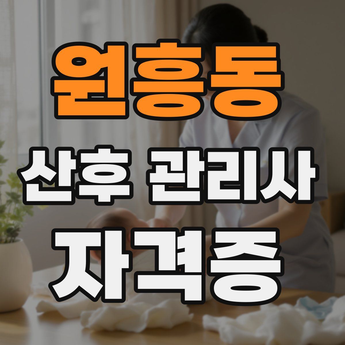 원흥동 산후 관리사 자격증