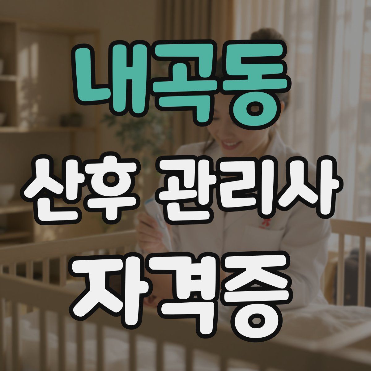 내곡동 산후 관리사 자격증