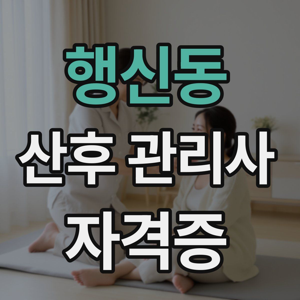 행신동 산후 관리사 자격증