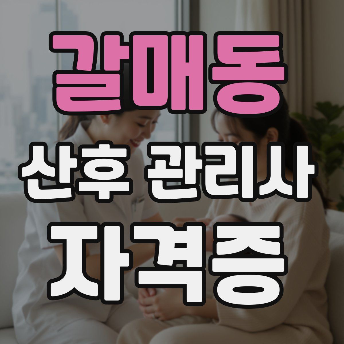 갈매동 산후 관리사 자격증