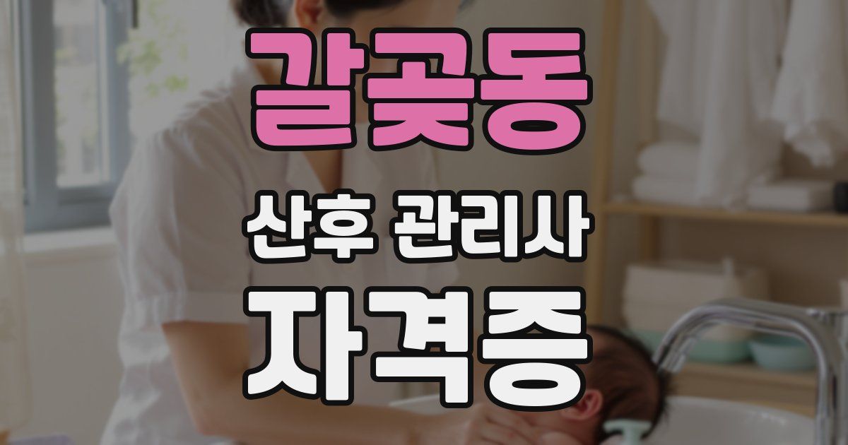 갈곶동 산후 관리사 자격증
