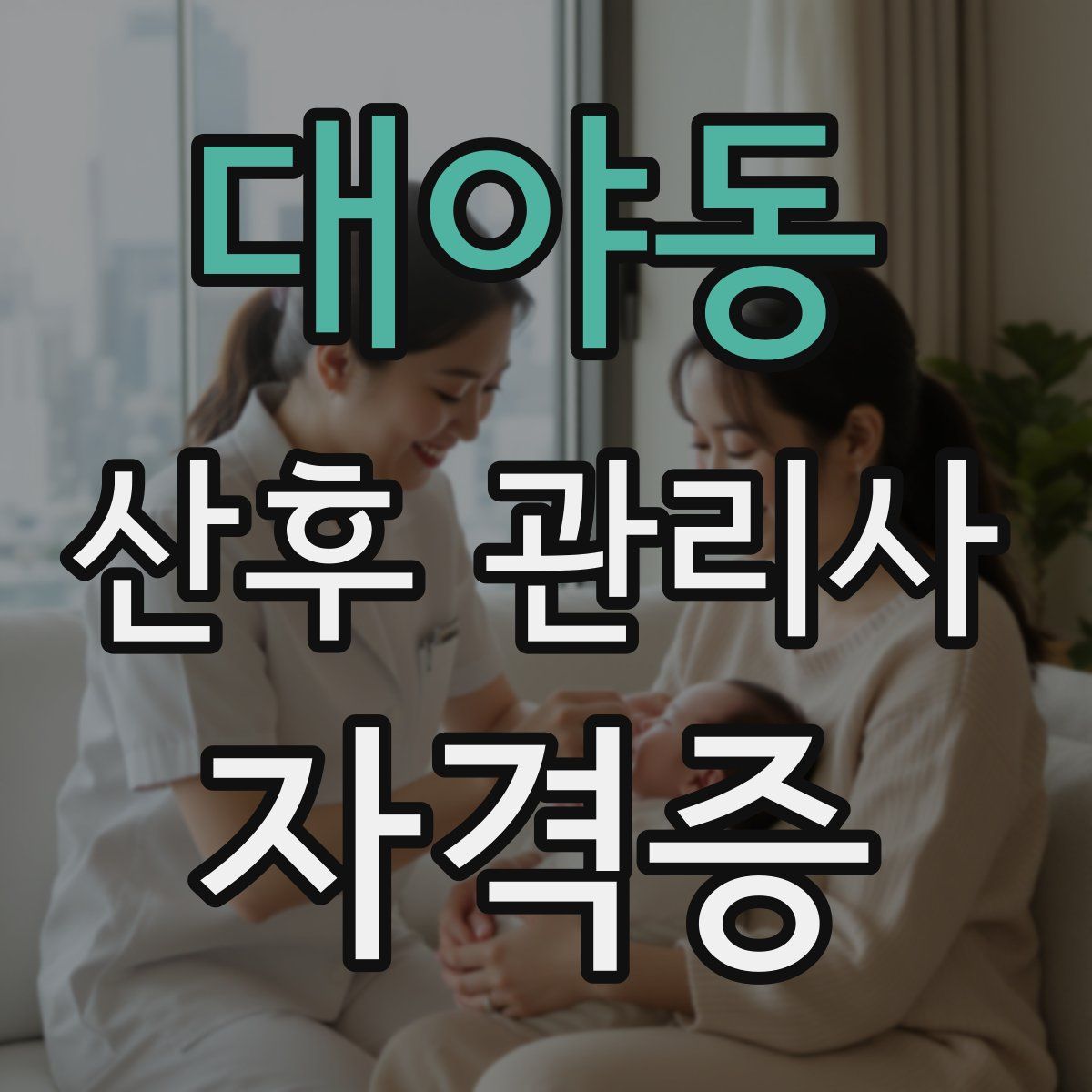 대야동 산후 관리사 자격증