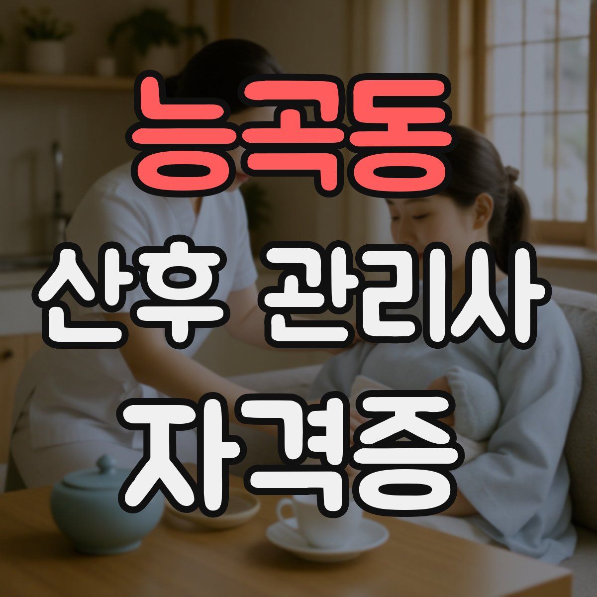 능곡동 산후 관리사 자격증