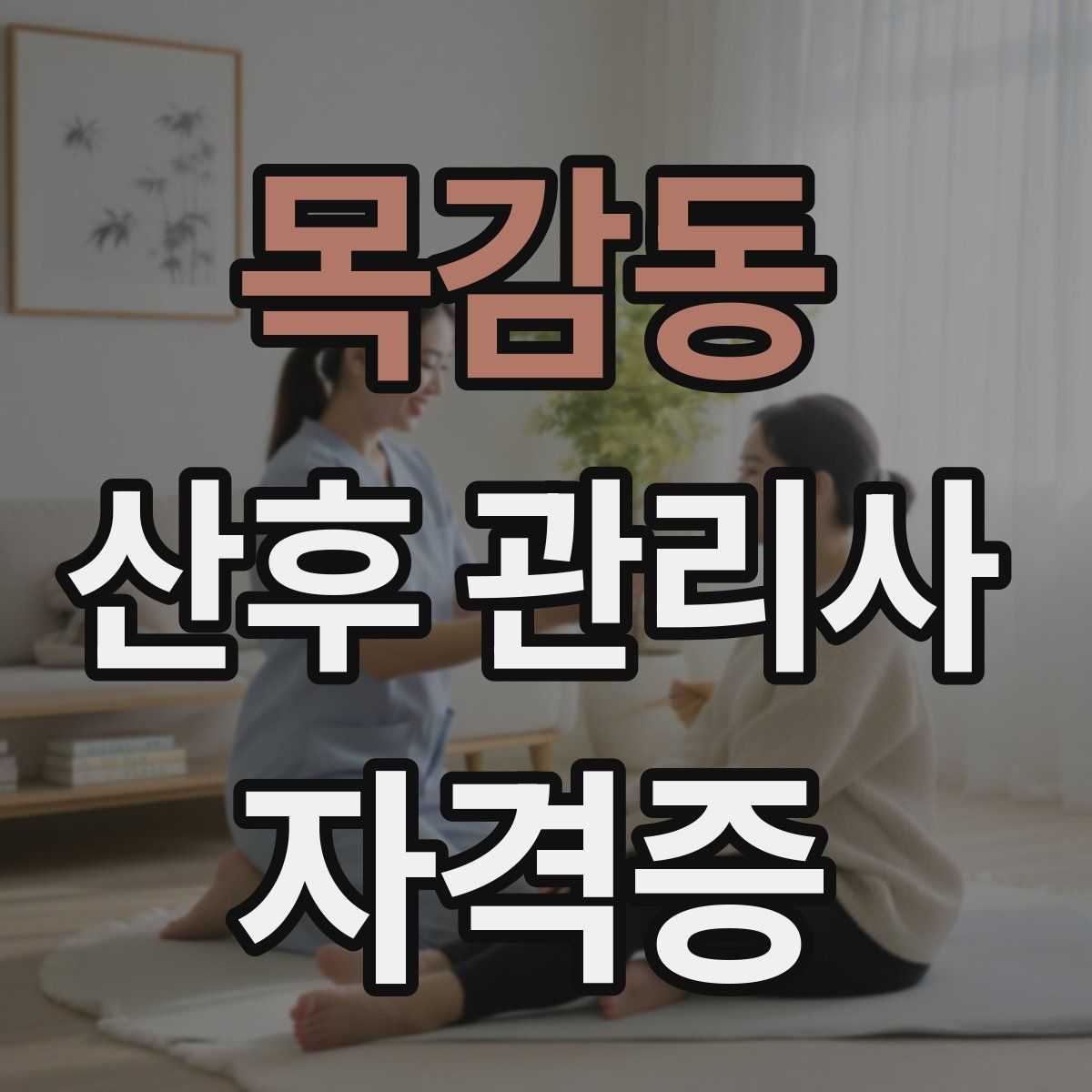 목감동 산후 관리사 자격증