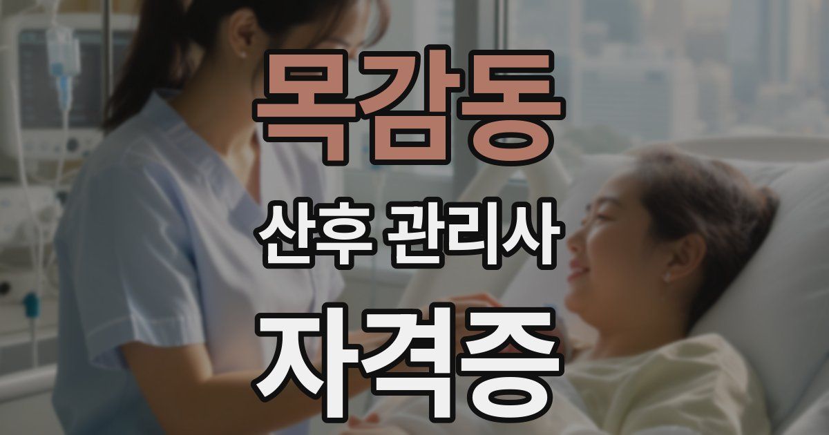 목감동 산후 관리사 자격증