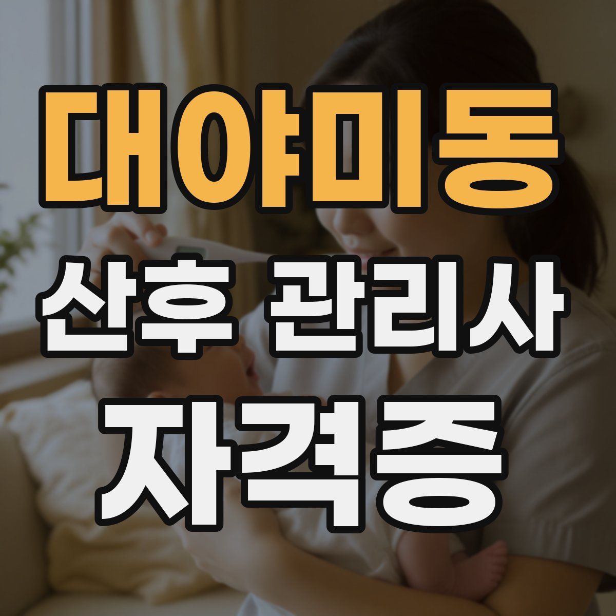대야미동 산후 관리사 자격증