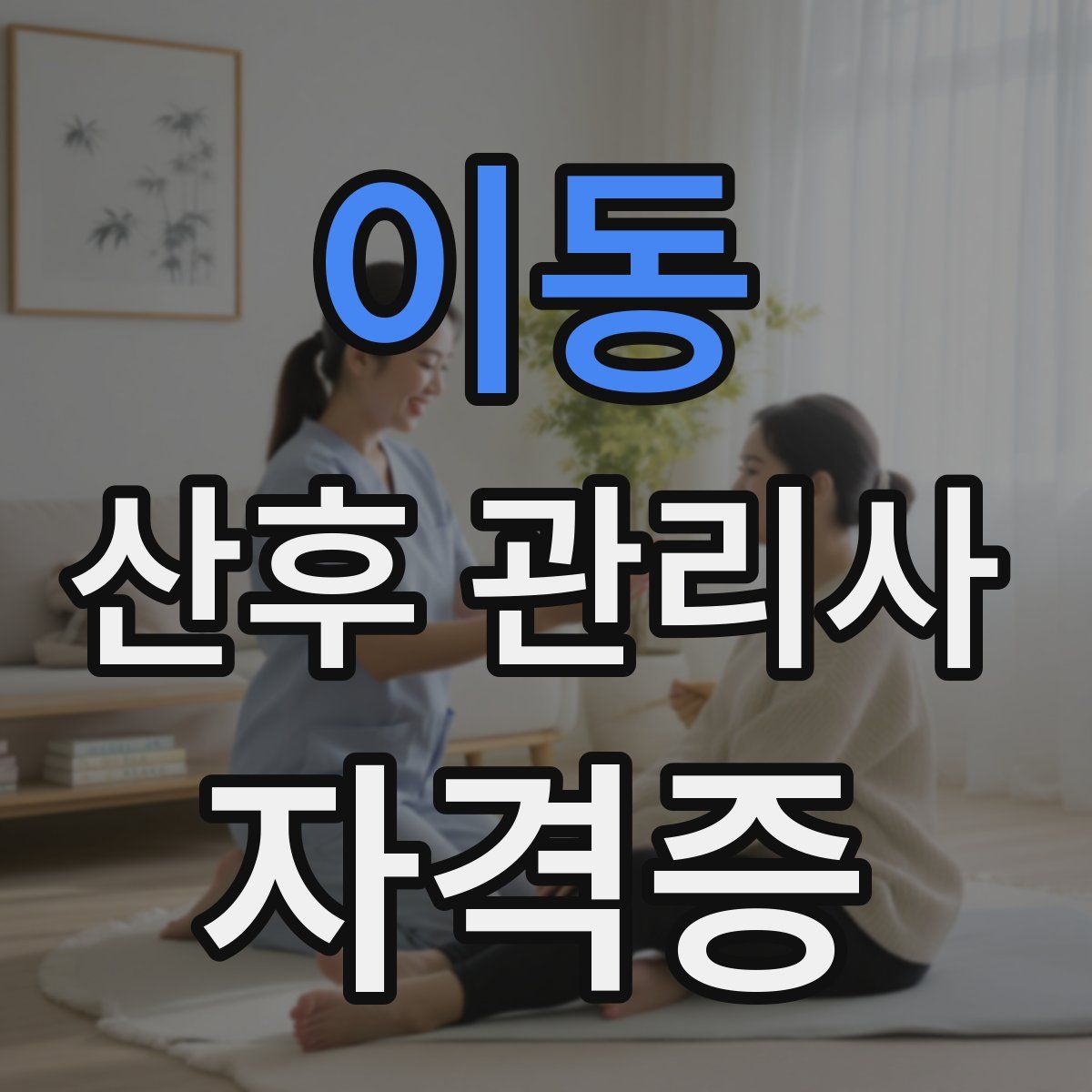 이동 산후 관리사 자격증