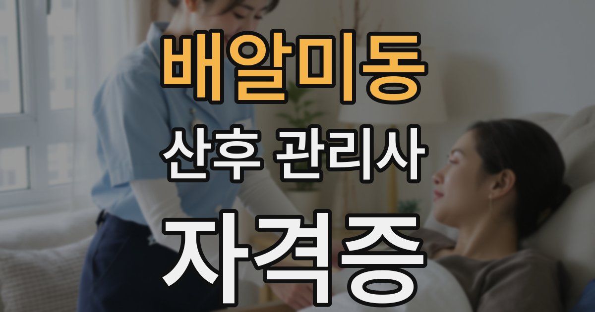 배알미동 산후 관리사 자격증