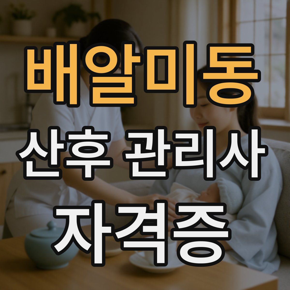 배알미동 산후 관리사 자격증