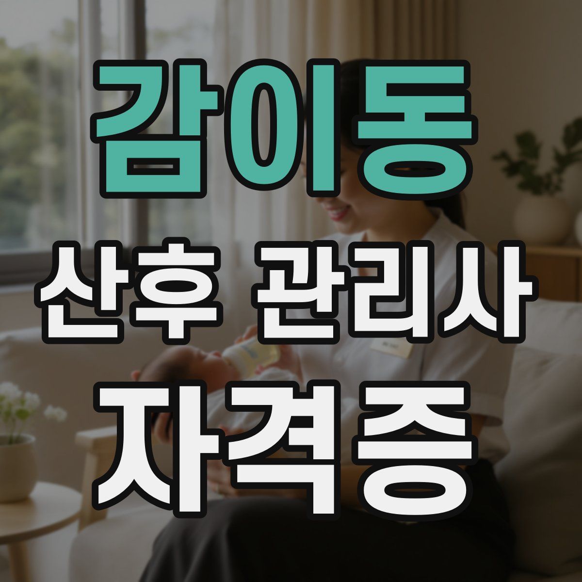 감이동 산후 관리사 자격증