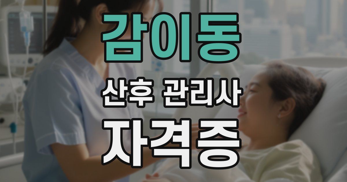 감이동 산후 관리사 자격증