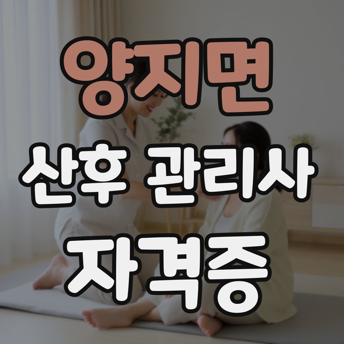 양지면 산후 관리사 자격증