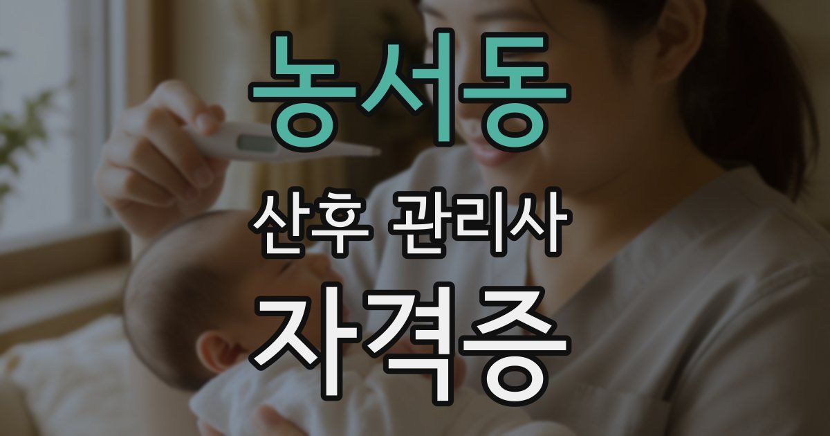 농서동 산후 관리사 자격증