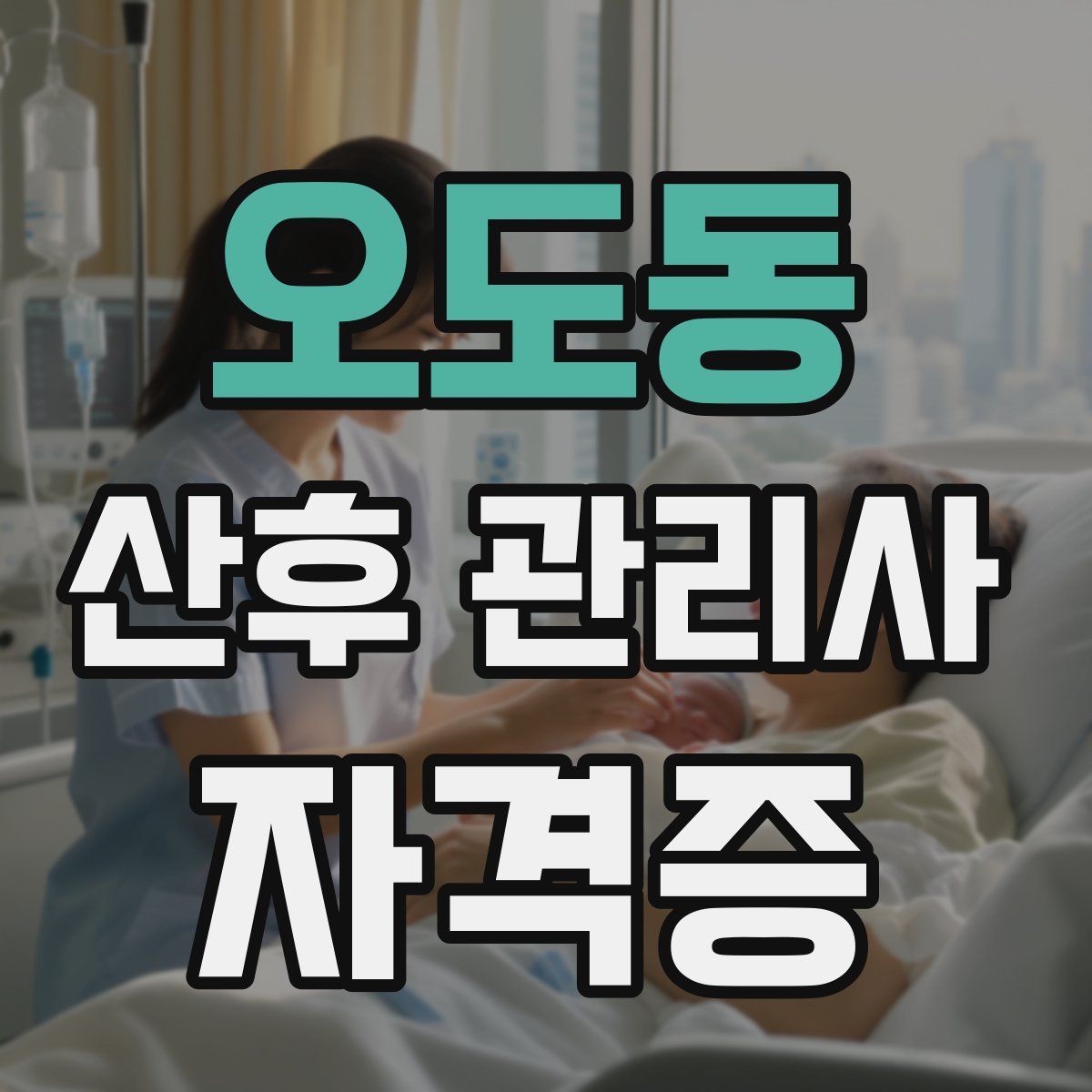 오도동 산후 관리사 자격증