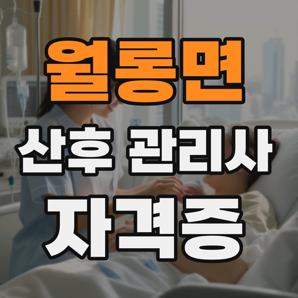 월롱면 산후 관리사 자격증