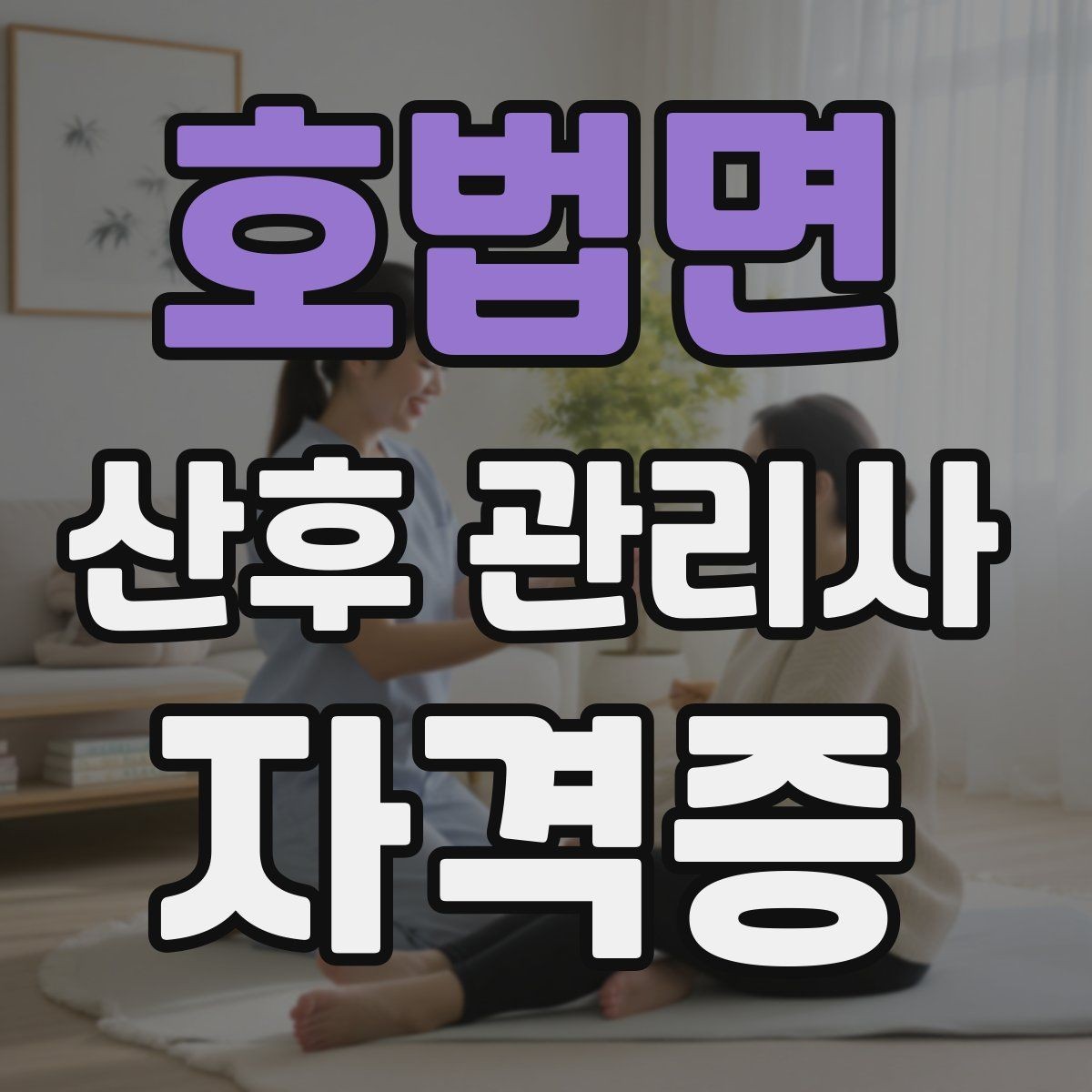 호법면 산후 관리사 자격증 서비스 범위와 한계를 명확히 하는 이유