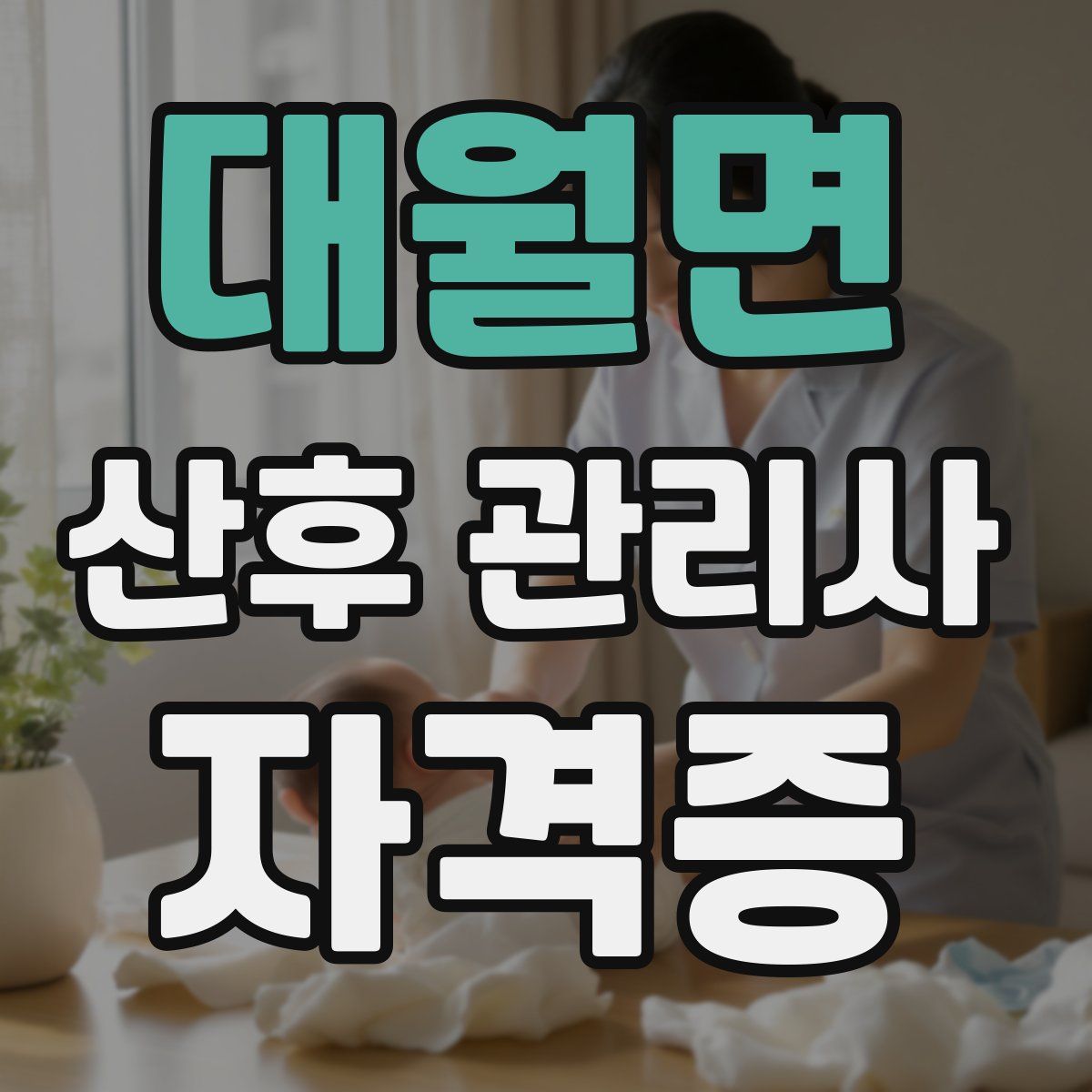대월면 산후 관리사 자격증