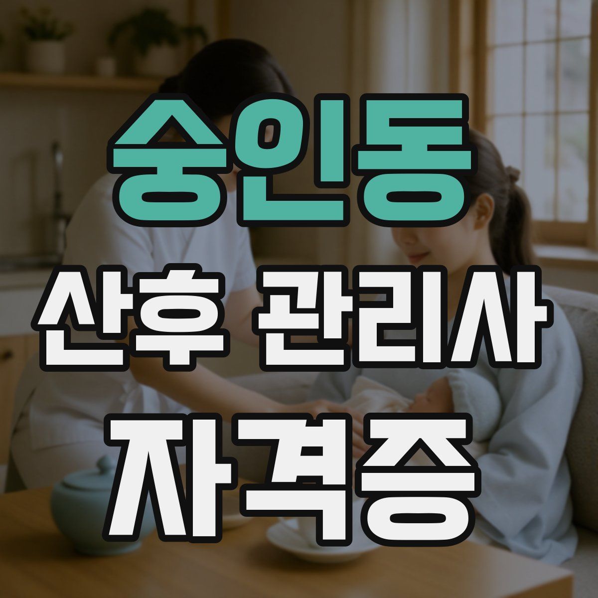 숭인동 산후 관리사 자격증