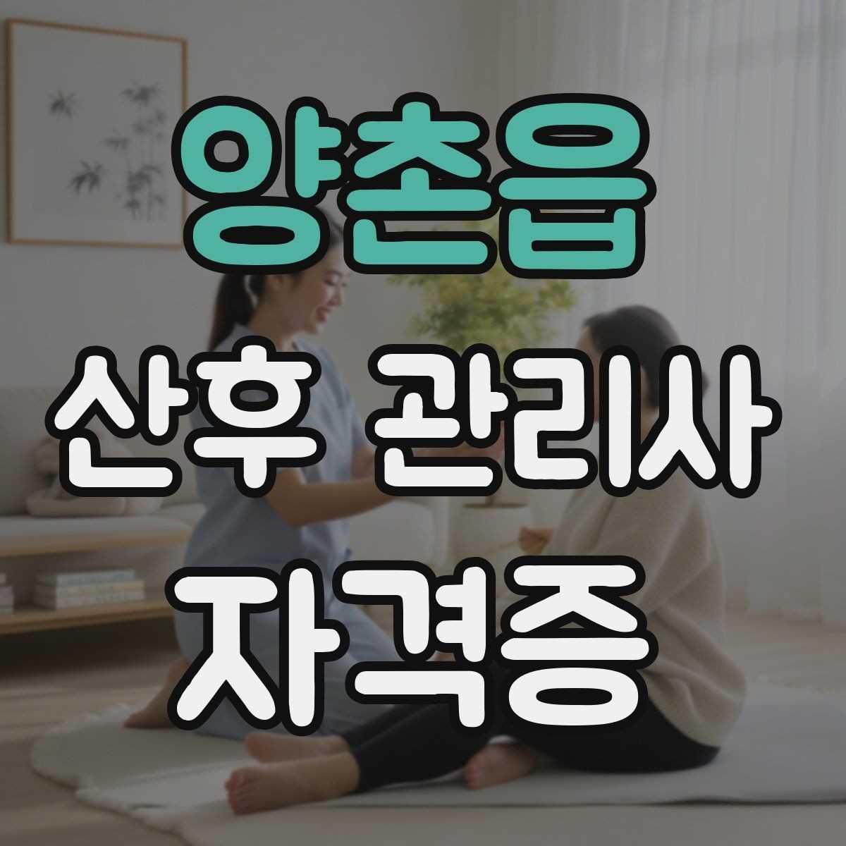 양촌읍 산후 관리사 자격증 민간자격증 선택 시 확인해야 할 것