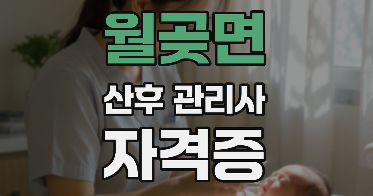 월곶면 산후 관리사 자격증