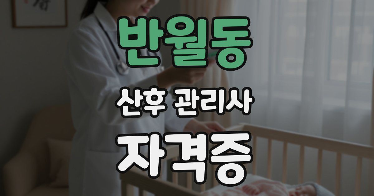 반월동 산후 관리사 자격증