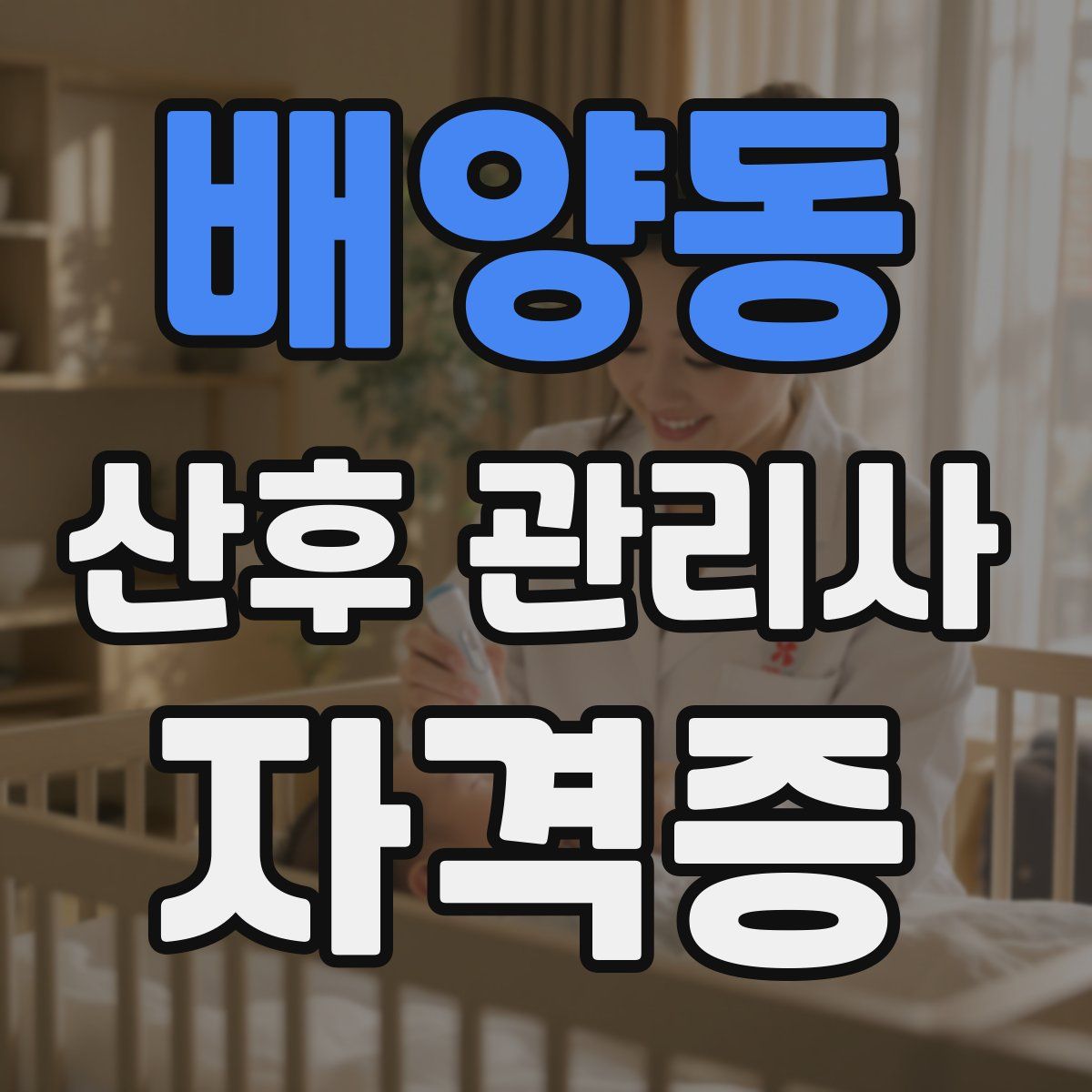 배양동 산후 관리사 자격증