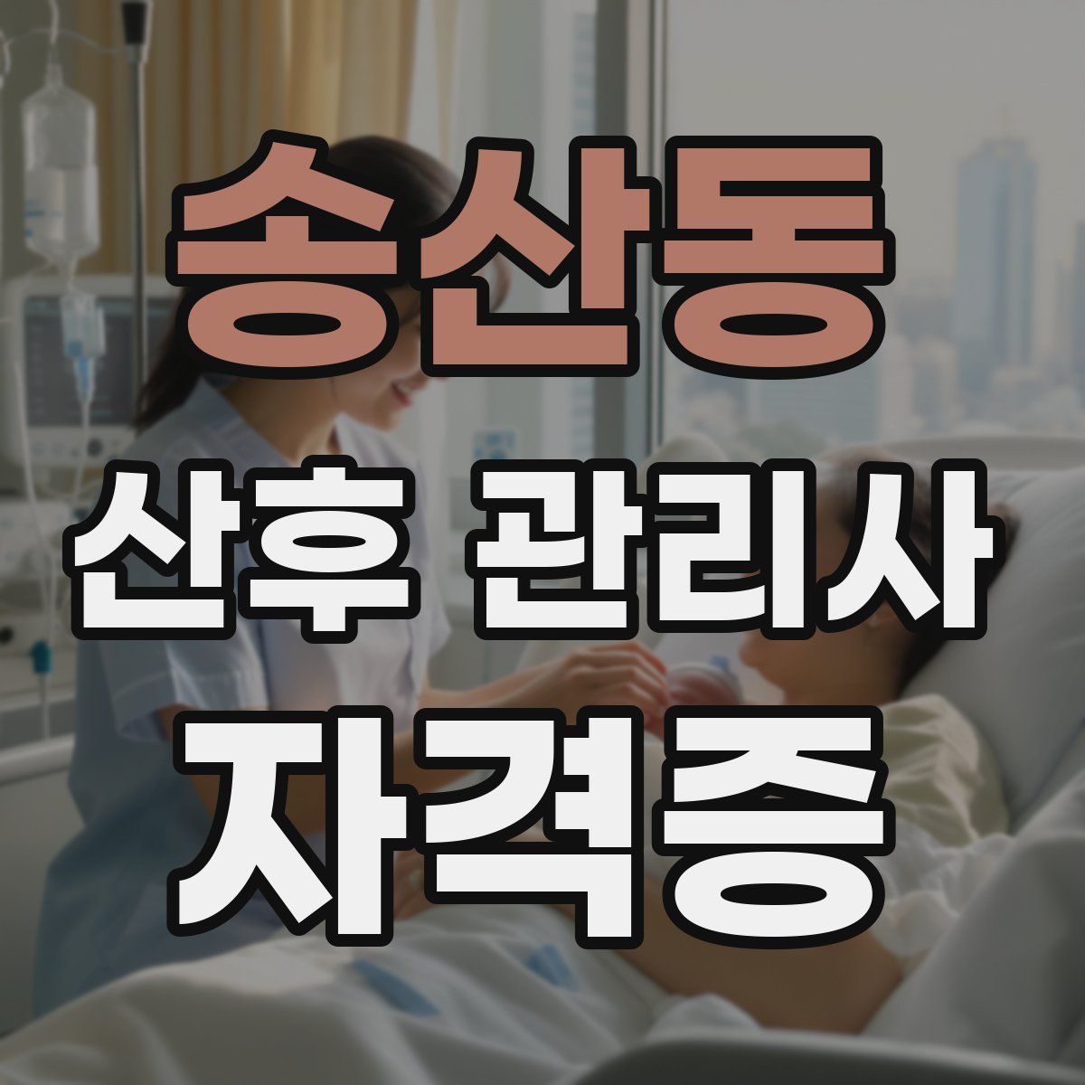 송산동 산후 관리사 자격증