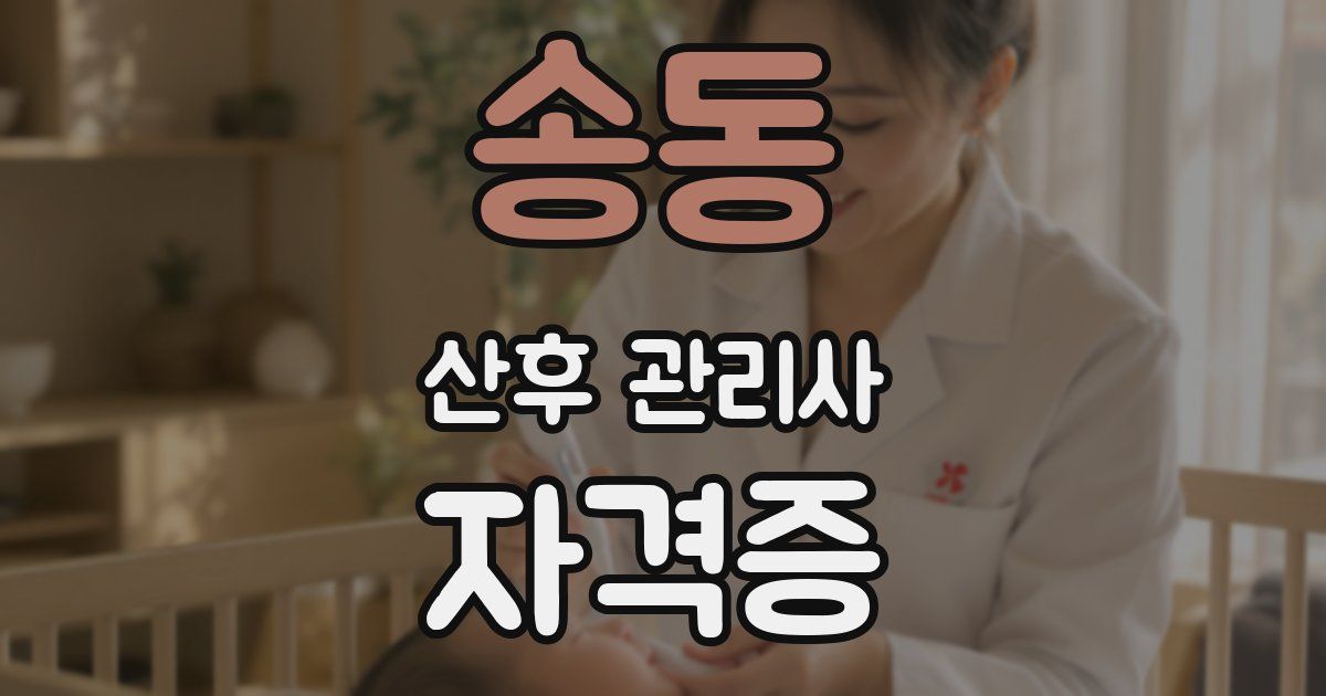 송동 산후 관리사 자격증