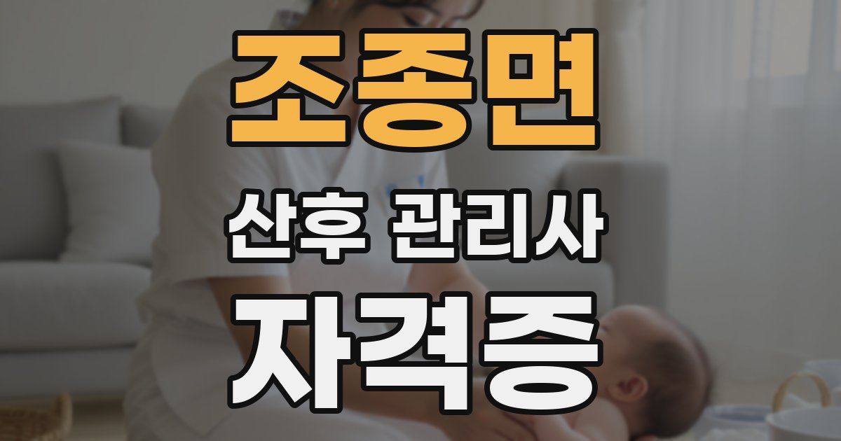 조종면 산후 관리사 자격증