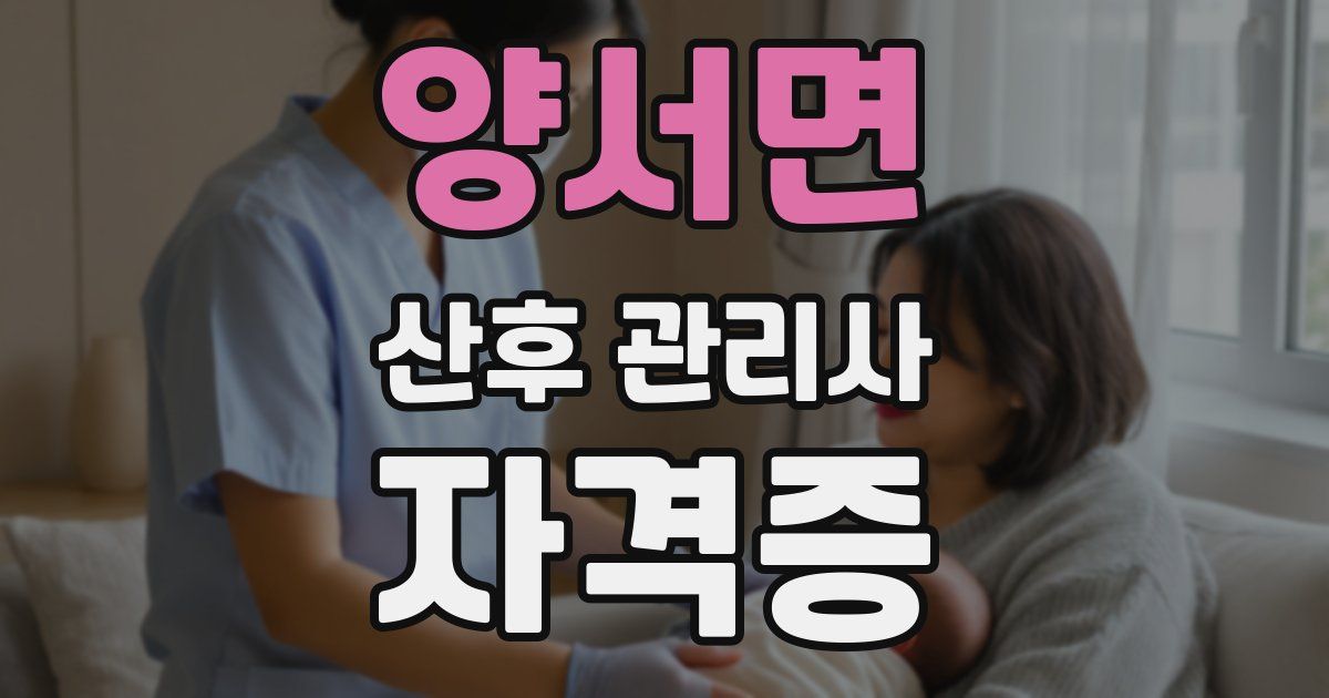 양서면 산후 관리사 자격증