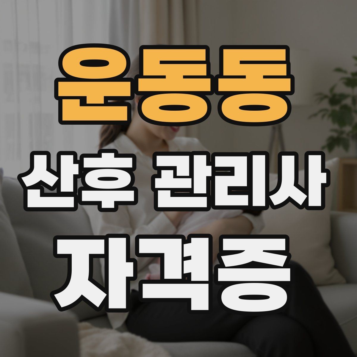 운동동 산후 관리사 자격증 취득하면 할 수 있는 일은 무엇일까
