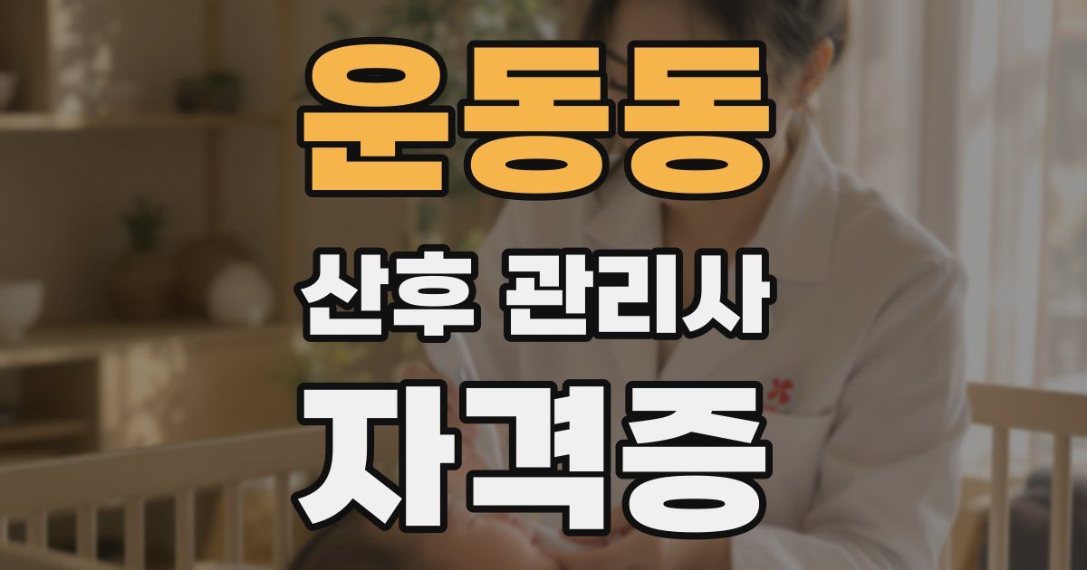 운동동 산후 관리사 자격증