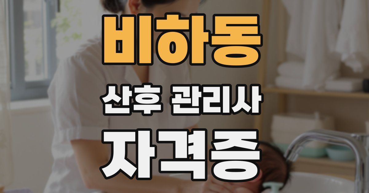 비하동 산후 관리사 자격증