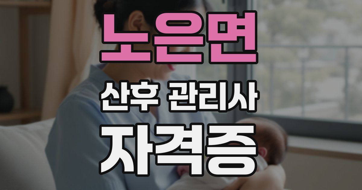 노은면 산후 관리사 자격증