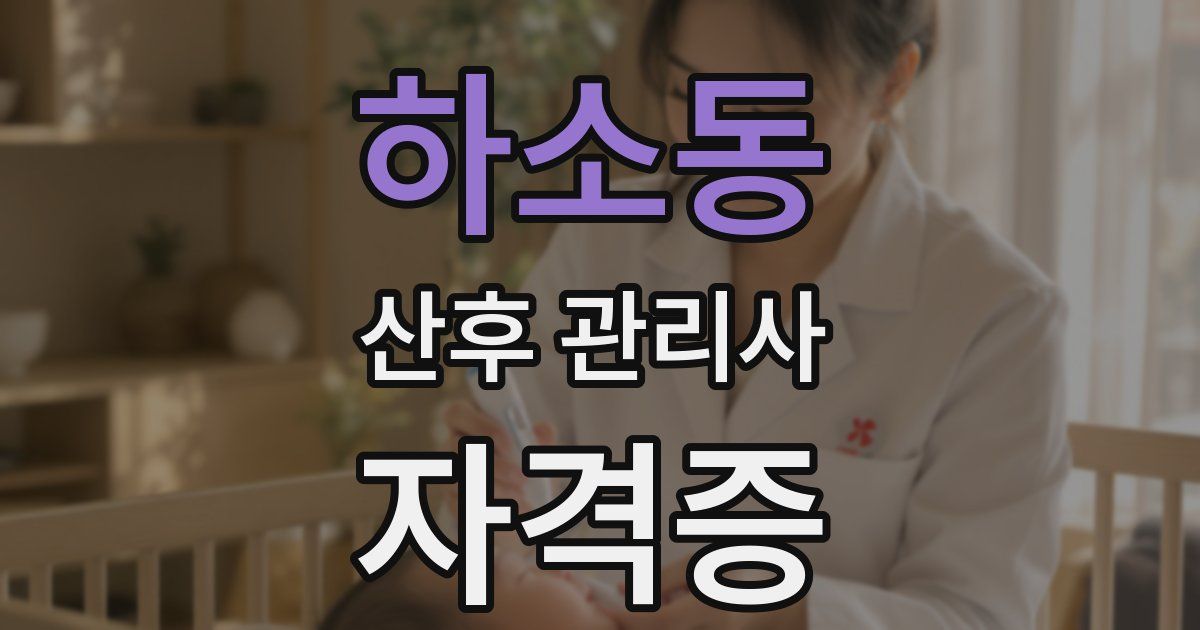 하소동 산후 관리사 자격증