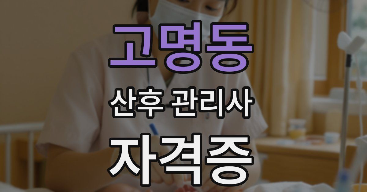 고명동 산후 관리사 자격증