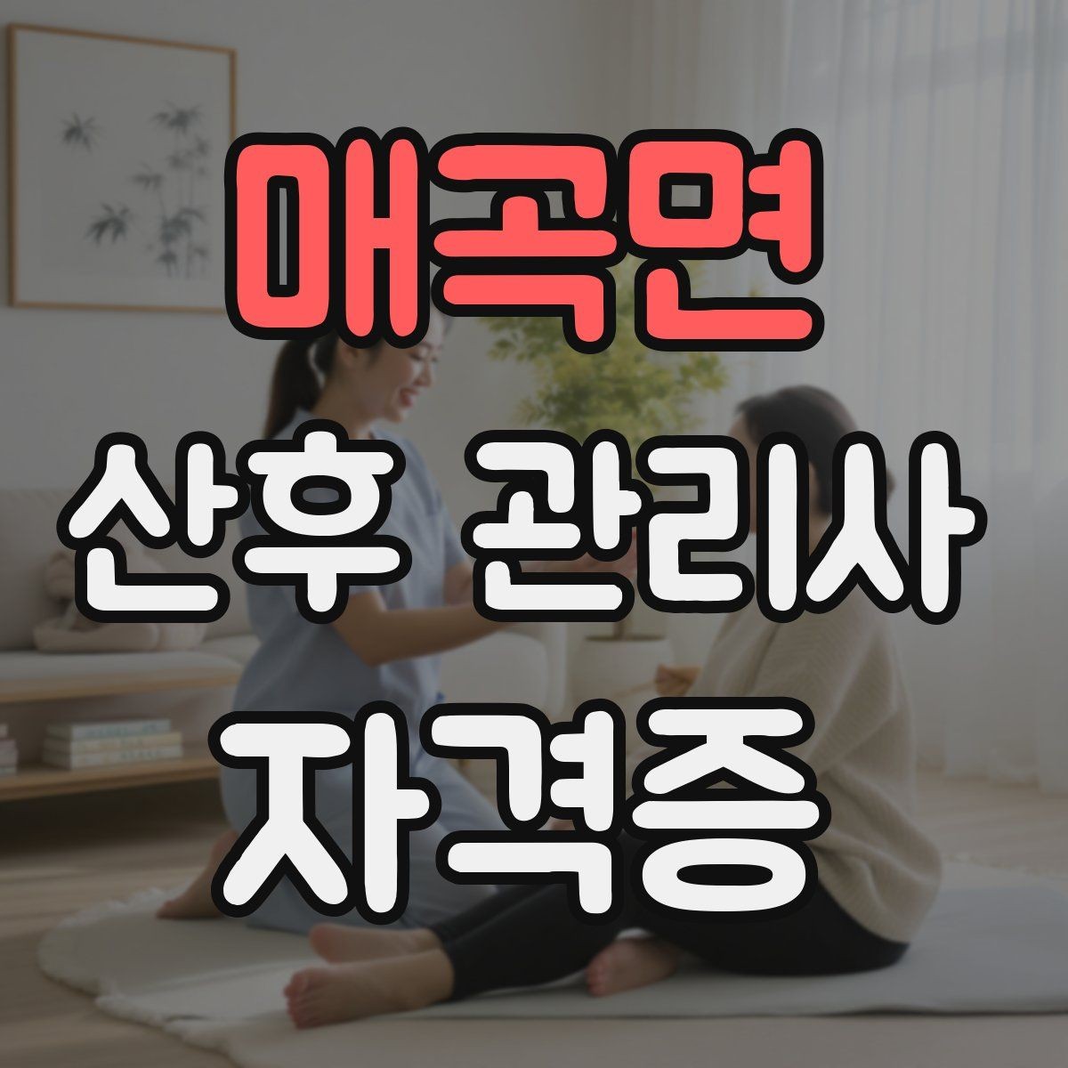 매곡면 산후 관리사 자격증 활동 비용 안내를 투명하게 하는 방법