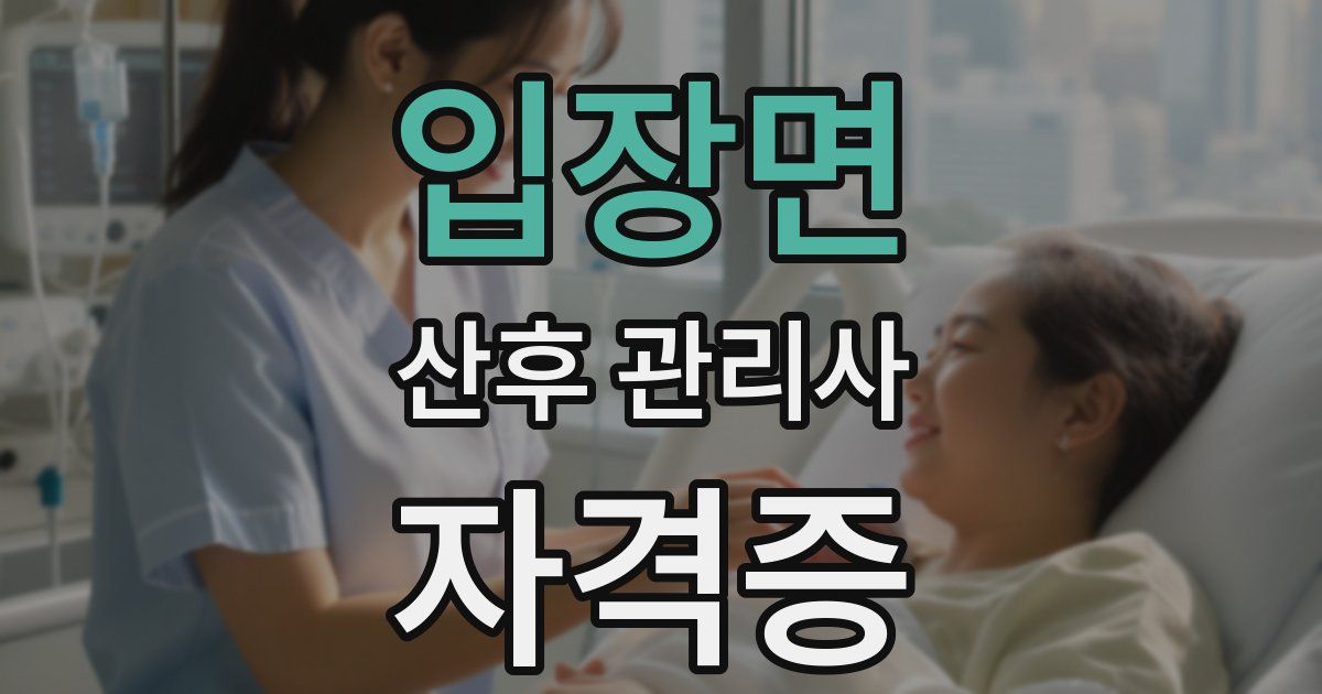 입장면 산후 관리사 자격증