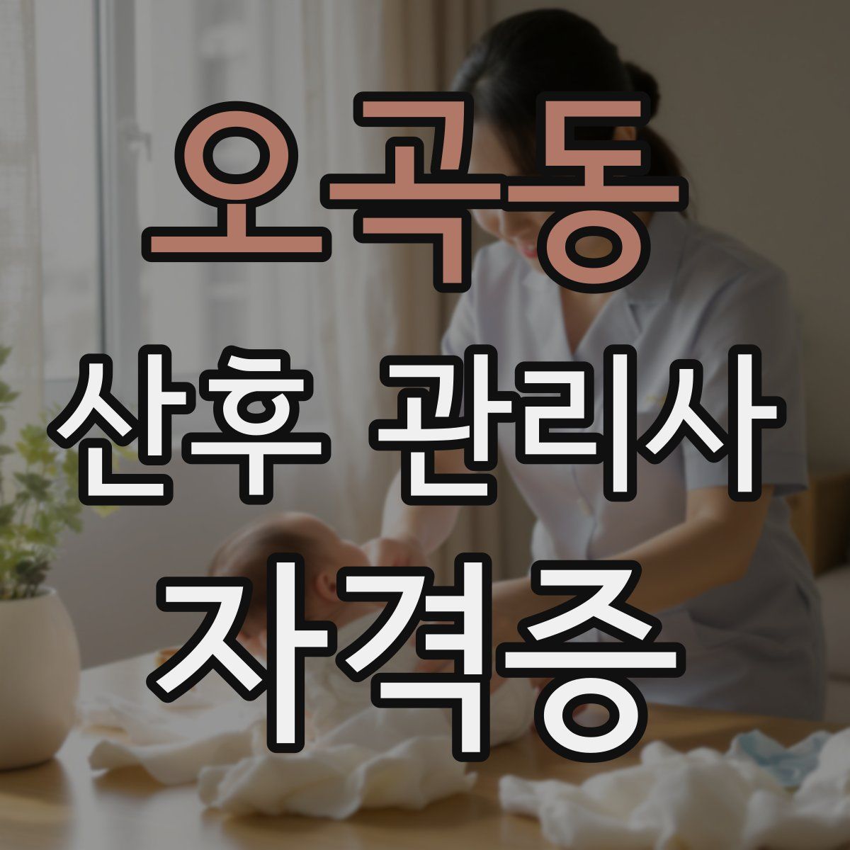오곡동 산후 관리사 자격증