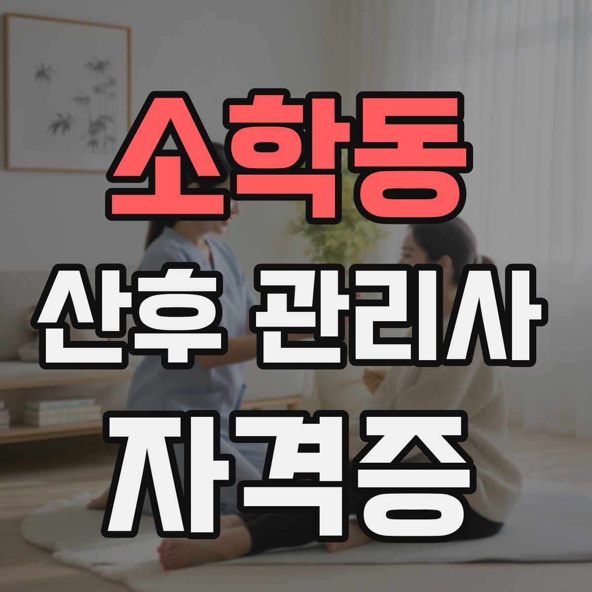 소학동 산후 관리사 자격증
