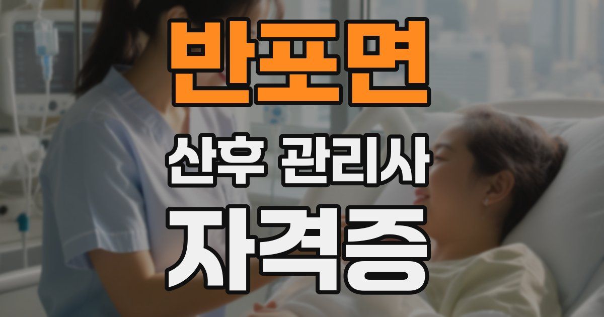 반포면 산후 관리사 자격증