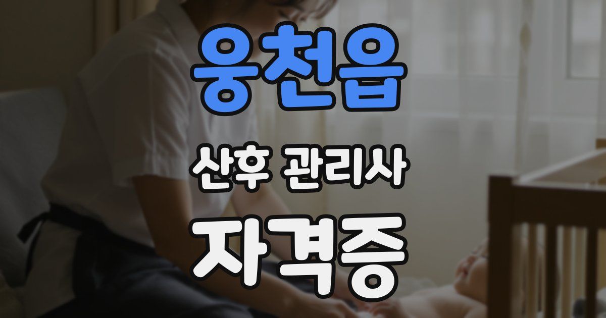웅천읍 산후 관리사 자격증